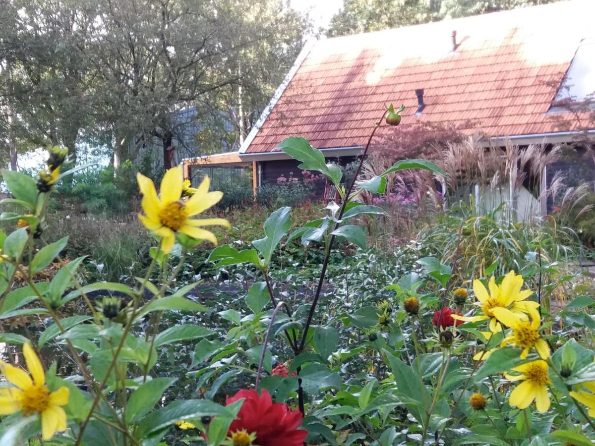 B&B Immer met Moed Vledder Exterior foto